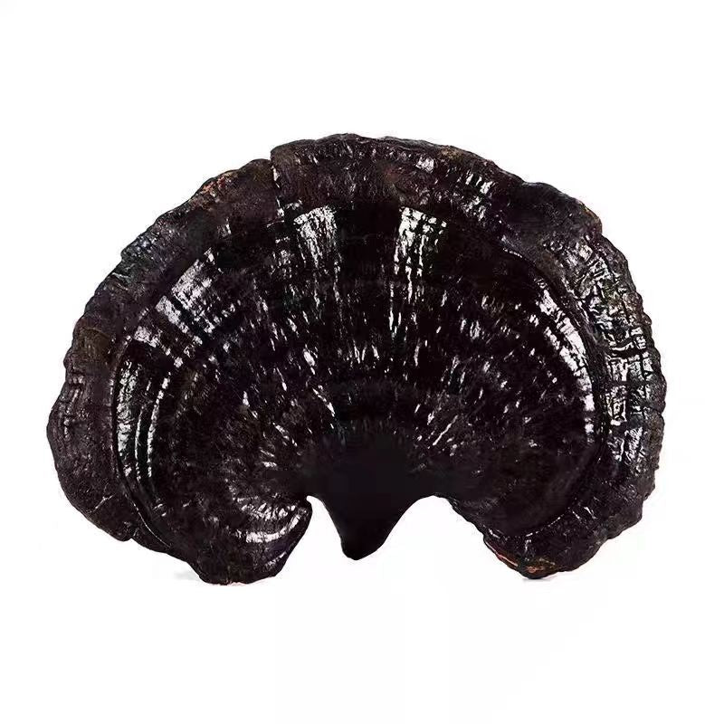 Pure Natural Black Lingzhi – Authentic Whole Dried Reishi Mushrooms 500g