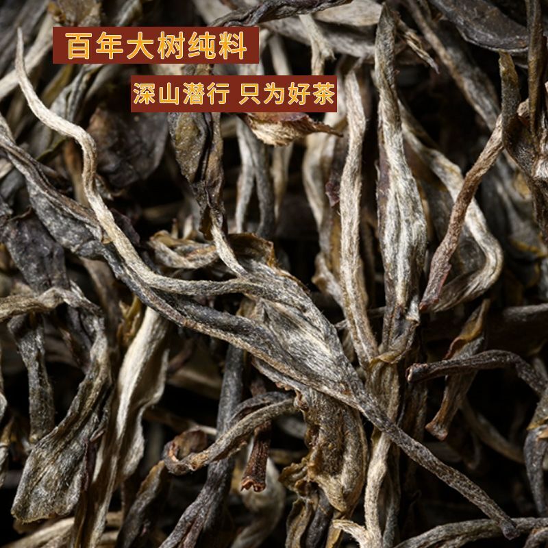 Yunnan Puerh Tea Raw Tea Loose Tea Iceland Ancient Tree Puerh Raw Tea 250g