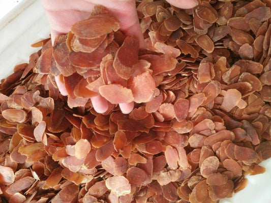 250g/500g 红参大片无糖 高丽参片Korean ginseng root,Red ginseng,Panax Ginseng bigger slices