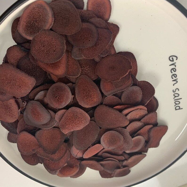 Natural Red deer velvet antler slices / Lu Rong Slices Exotic Herb