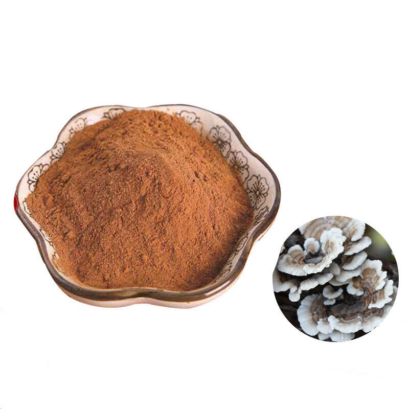 50g~250g Turkey Tail Mushroom Extract Powder, ≥ 50% active polysaccharides