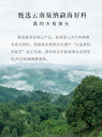 2008 Menghai Tea Factory 8582 TAETEA Dayi Raw Pu-erh Tea Cake 357g