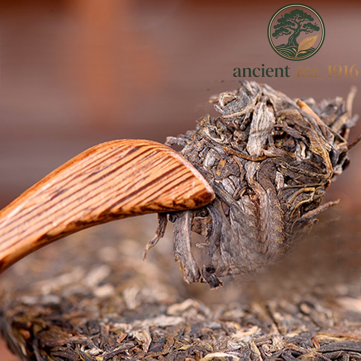 Yunnan Sheng Puer Tea Wild Ancient Tree High Mountain Loose Leaf 100g