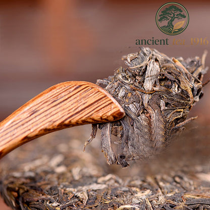 Yunnan Sheng Puer Tea Wild Ancient Tree High Mountain Loose Leaf 100g