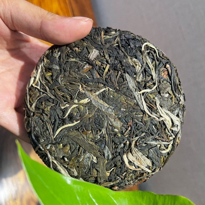 100g Raw Puer Tea Cake Ban Zhang Yunnan Ancient Tree Mountain Grown Fresh Aroma
