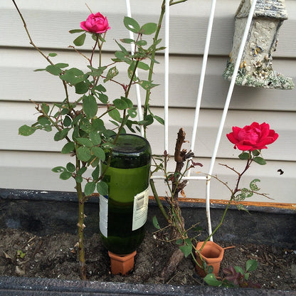 Set of 4 Plant Sitter Self-Watering Stakes for Indoor and Outdoor Plants