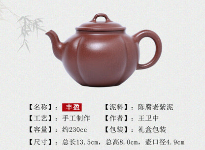 230cc Handmade Purple Sand Erqing Clay Tea Pot in Yixing, China Fengxing Hu Tea Pot-