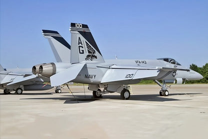 1:72 HM F/A-18E Super Hornet VFA-143 "Pukin Dogs", 2009 Fighter Diecast Model