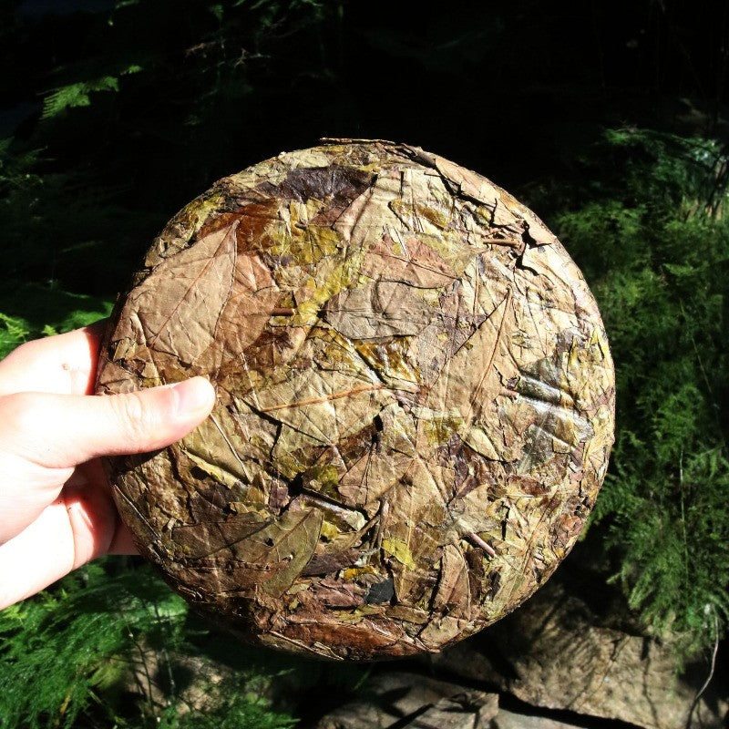 300g White Tea Cake Dongpian Fuding Fujian Sun Dried Mountain Grown Tea