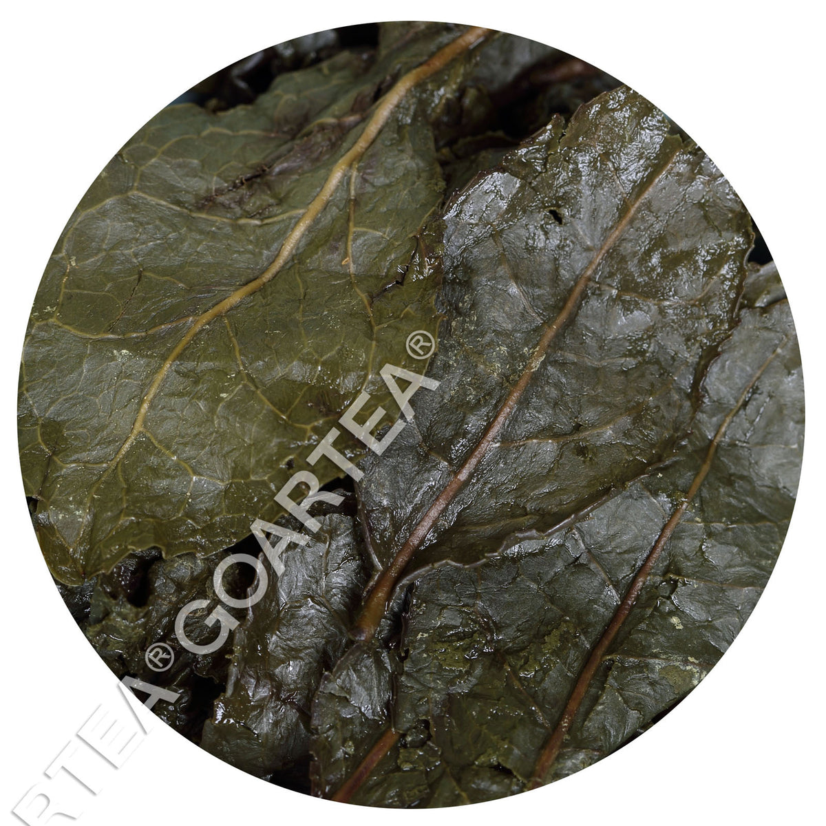 GOARTEA 250g Supreme Taiwan Ginseng Oolong Tea Languires High Mount. Ginseng Tea-