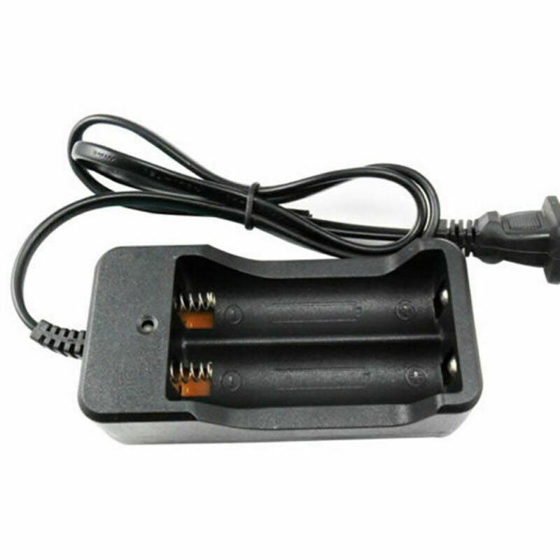 Family Charger Dock and LED Torch Plug Dock For Model 18650 Li-ion Charger Box