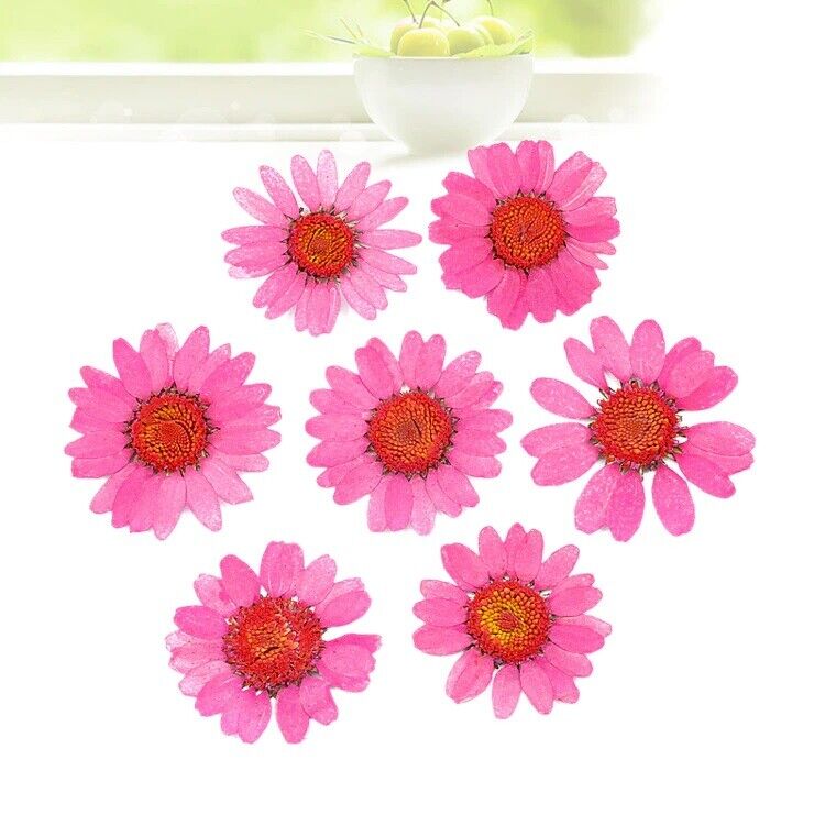 Dried Flowers Pressed Dry Daisy Epoxy Resin Jewelry Making Materials 120Pcs/Lot