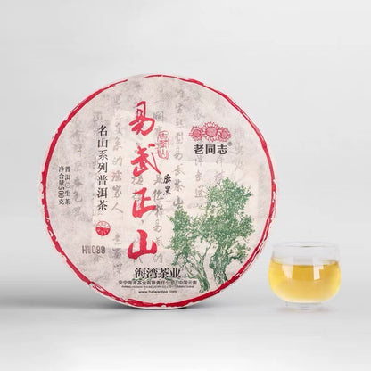2021 Laotongzhi Haiwan Pu-erh Tea Yiwu Old Tree Ma Hei Raw Puerh Tea 500g Puer
