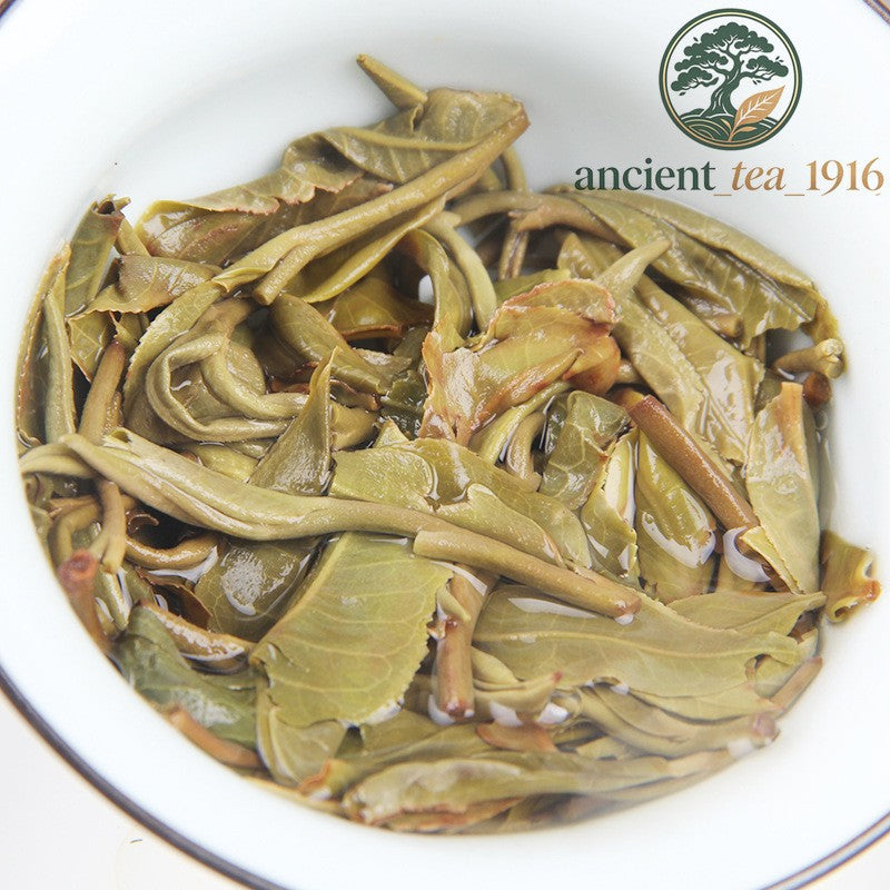 500g 2023 Yunnan Spring Tea Lincang Ancient Tree Raw Tea Pu'er Tea