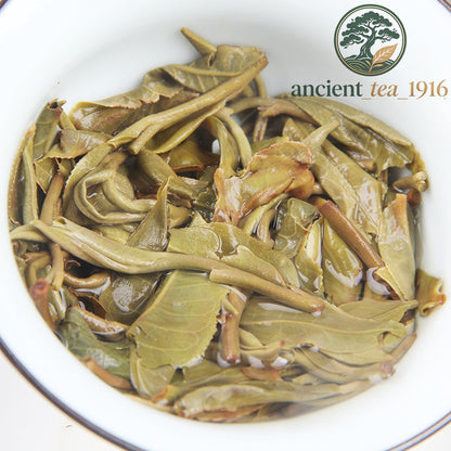 500g 2023 Yunnan Spring Tea Lincang Ancient Tree Raw Tea Pu'er Tea