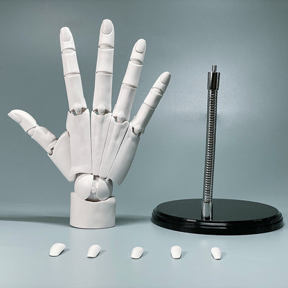 1: 1 Hand Model Multi Joint For Anime Painting Model Decoration