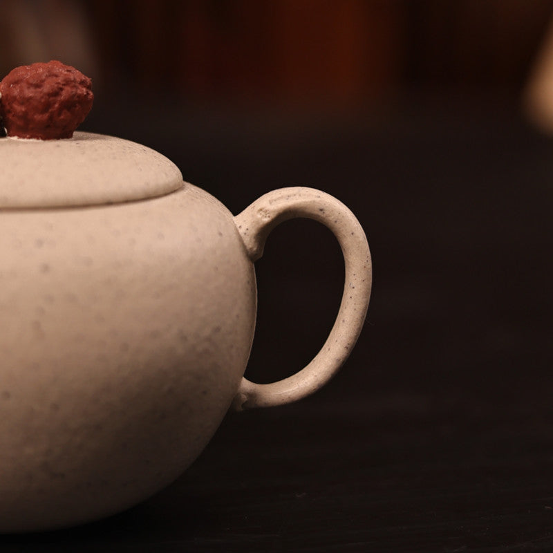 90cc Yixing Handmade Zisha teapot white Duan Clay Lychee Gongfu hu Tea pot
