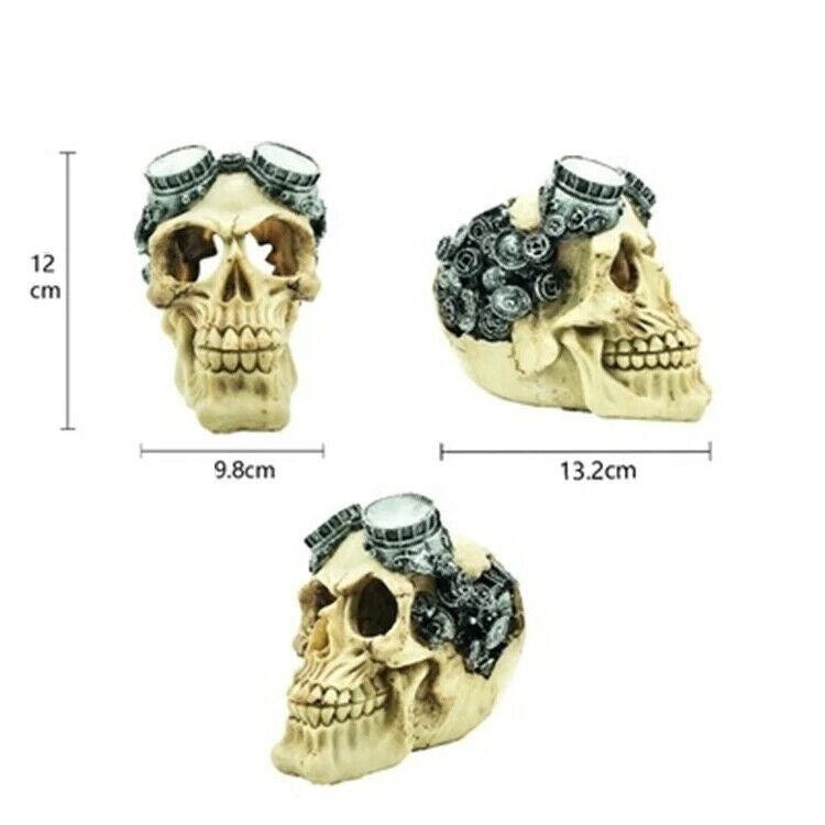 Aquarium Decoration Resin Pirate Skull Skeleton Head Lizards Terrarium Ornaments