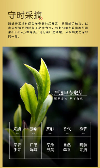 Mingqian Biluochun Green Tea New Tea Biluochun Strong Flavor Tea 250g Cannedtea