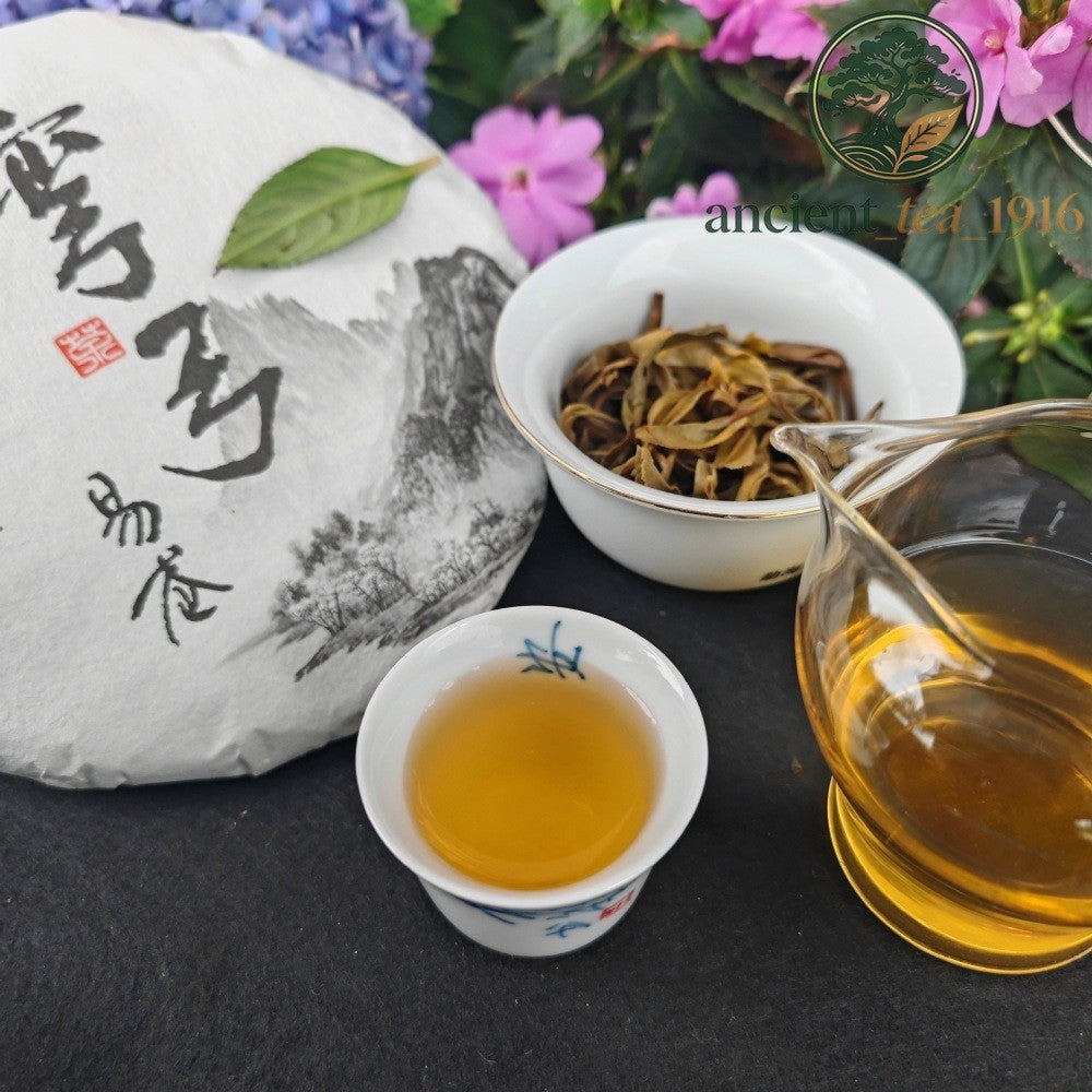 357g 2020 Spring Ancient Tree Yi Wu Raw Tea Cake Pu Erh Tea Cake