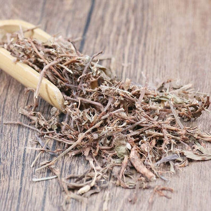 Organic Herbal Common Knotgrass Herb Herbal Polygoni Avicularis Great Quality