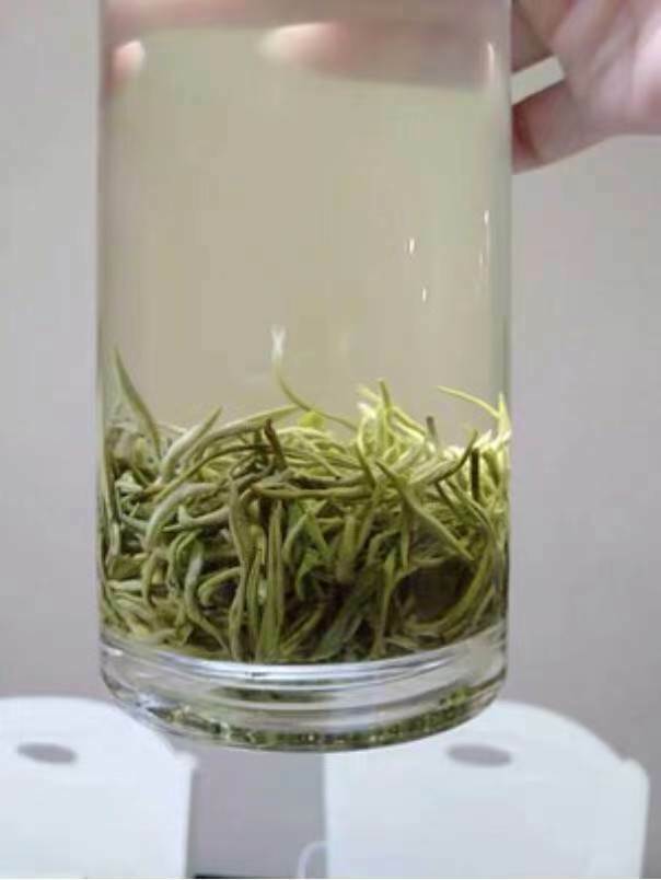 China Bi Luo Chun Green Tea,Pi lo,Snail Spring Loose Leaf famous aroma thé
