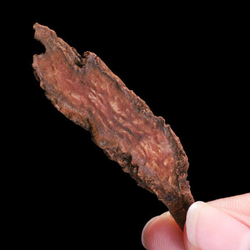 250g Suoyang Cynomorium Songaricum Slice Organic Chinese Healthy Herbal Slices