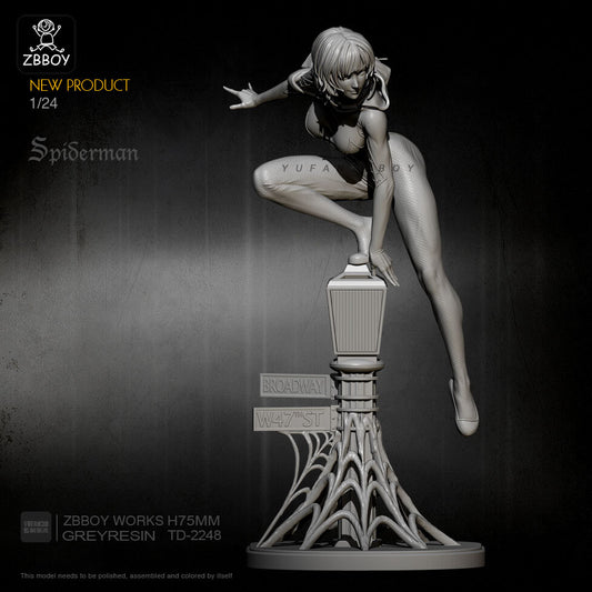 75mm resin figure model kit 1:24 Sexy Spider chivalrous woman TD-2248 garage kit
