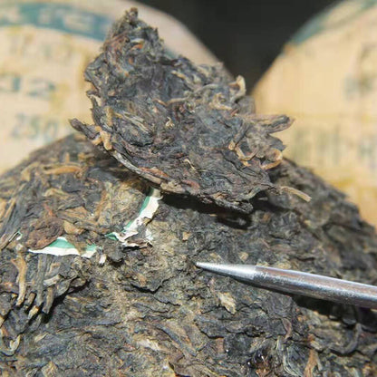 2007 GOLDEN SAIL BRAND 7332 Pu'er Tea Raw Pu-erh Ancient Tree Qing Tuo Cha 250g
