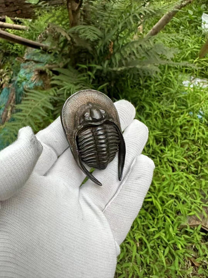 Chinese Old Bronze Hand Casting Trilobite Statue Netsuke Collectable Ornament