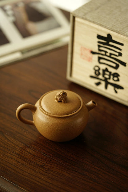 170cc chinese Yixing Handmade Zisha teapot Duan Clay XiLe Gongfu Hu Tea Pot