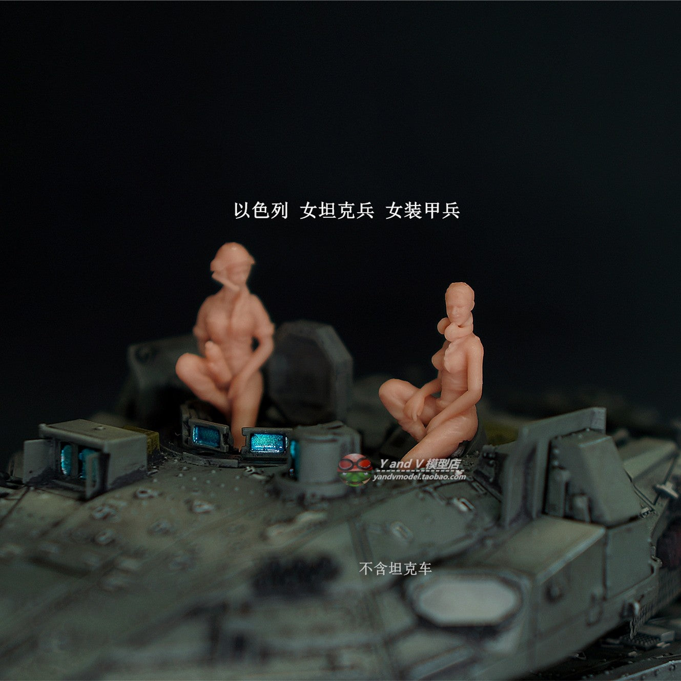 Homemade 1/72 1/64 1/87 Israel Female Tank Armorer 2-Persons Unpainted Model
