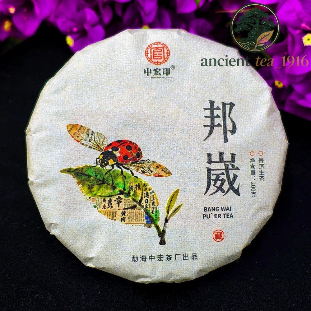 200g 2019 Yunnan Pu'er Tea Ancient Tree Raw Tea Pu Erh Tea Cake