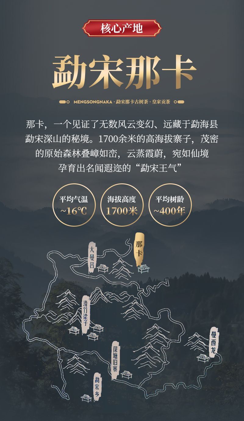 Yunnan Mengsong Na Ka Ancient Tree Naka Pu'er Pu-erh Raw Tea Cake Puer 357g