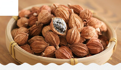 Xiang Sha Ren/香砂仁/卤/艳山姜/土砂仁Cocklebur-like Amomum Fruit/Spice/Food Spices 250g