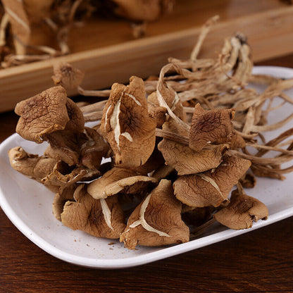 Premium Dried Tea Tree Mushroom 250g/bag Chinese Herbal Agrocybe Cylindracea New