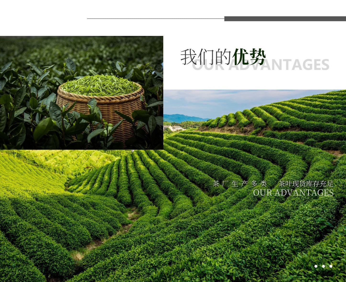 500g Fujian Wuyi Jinjunmei Eyebrow Black Tea Chinese Loose Leaf - Black Buds
