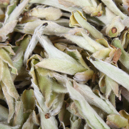 Yunnan tea Snowy Mountains pre-ming early spring tea white bud Pu'er Tea Raw Tea