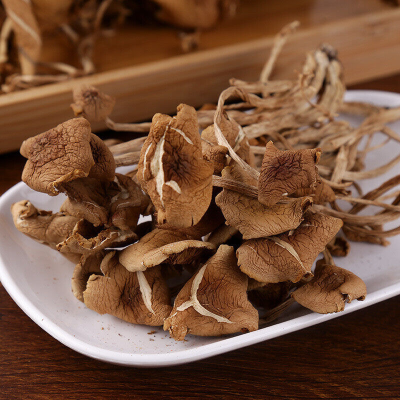 Premium Dried Tea Tree Mushroom 250g/bag Chinese Herbal Agrocybe Cylindracea New