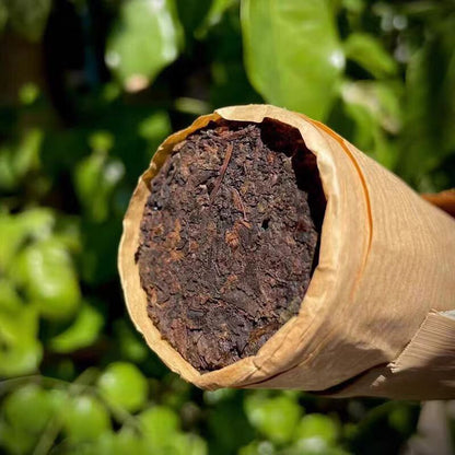 Yunnan Chen Xiang Cooked Pu'er Tea Ripe Puerh Mini Tuo Tea Cha Puer Brick tea