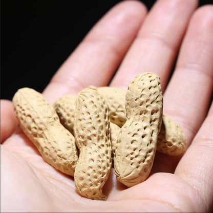 10-Pack Yixing Handmade Tea Pet Purple Clay Simulation Peanut Tea Decoration -