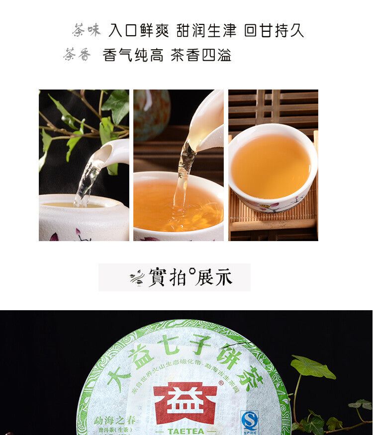 2012 Dayi Spring of Menghai Raw Puer Tea Batch 201 TAETEA Shen Pu-erh Tea 357g -