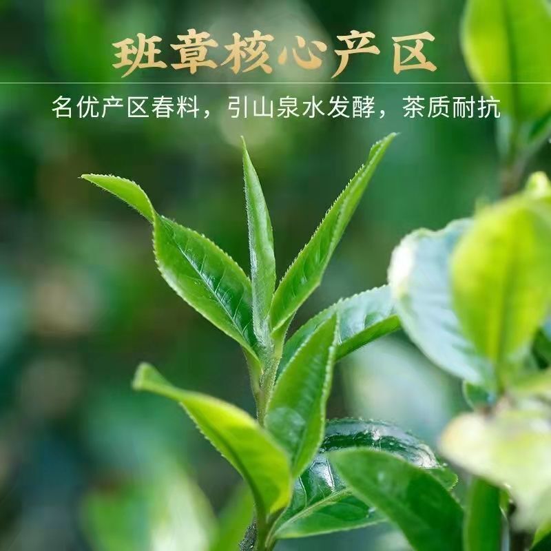 Old Ripe Tea Cake 100g Eight Years Rhyme Chen Menghai Old Ripe Tea Puerh Tea