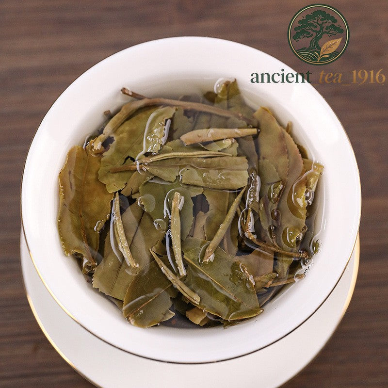 100g 2019 Fuding White Tea Small Square Brick Fujian High Mountain White Tea