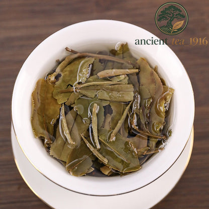 100g 2019 Fuding White Tea Small Square Brick Fujian High Mountain White Tea