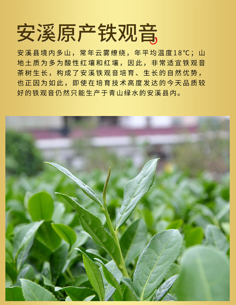 200g Anxi Original Tie Guan Yin Oolong Tea High Mountain Seasonal Tea Gift Box