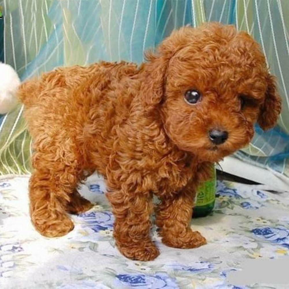 Realistic Teddy Dog Simulation Toy Dog Puppy Lifelike Stuffed Toy