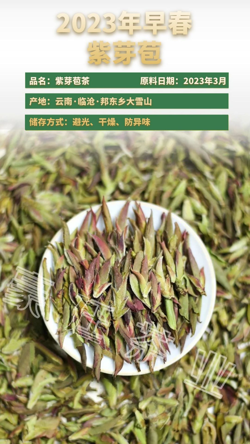 Yunnan Pu'er Tea Purple Buds Early Spring New Tea MingQian Spring Tea Nectar Tea