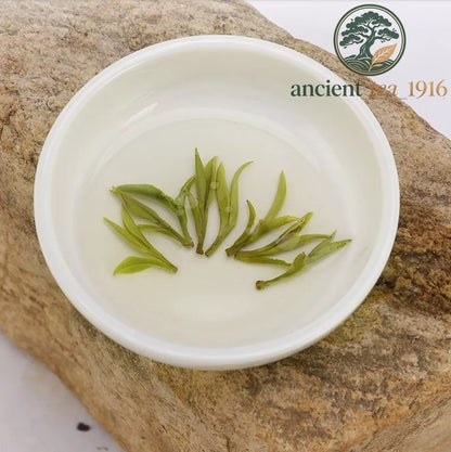 200g Premium Huangshan Maofeng GREEN TEA Chinese Yellow Mountain Mao Feng Tea