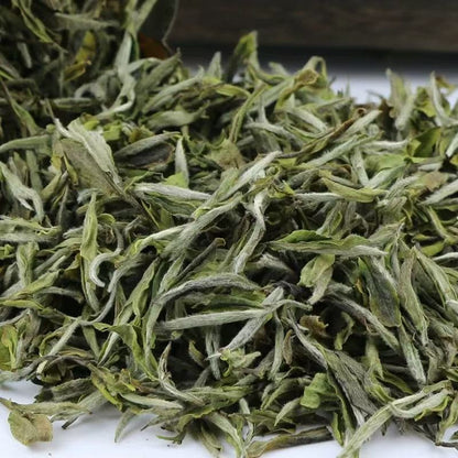1000gPremium White Tea Competition Grade White Peony Organic Loose Leaf BaiMuDan